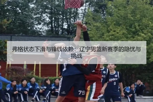 fu-ge-zhuang-tai-xia-hua-yu-feng-xian-yi-lai-liao-ning-nan-lan-xin-sai-ji-de-yin-you-yu-tiao-zhan-3-387.jpg